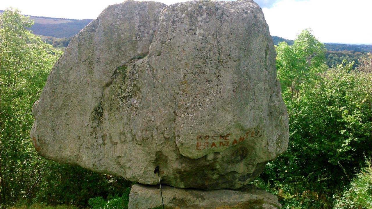 Lilas, Gite Saint Antoine, Orcival, Entre Sancy Et Volcans. ภายนอก รูปภาพ